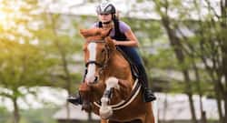 Incredible benefits of horse riding