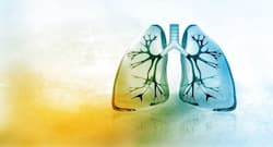 4 tips to keep your lungs healthy and happy