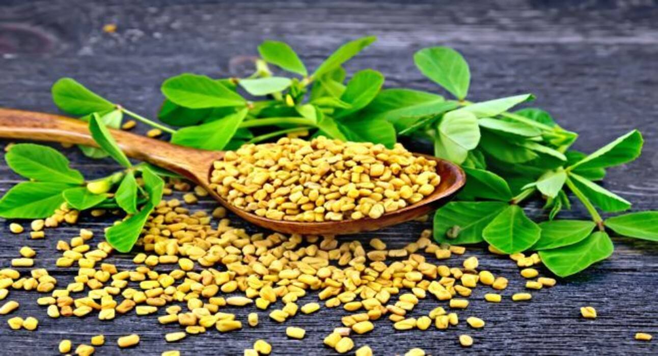 Diabetes mellitus: Indian spices that can lower blood sugar levels