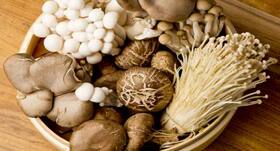 Mighty mushrooms: Know the many health benefits of it