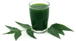 Neem-Giloy Juice for Diabetes Control : नीम के पत्तों के साथ पीसकर पीएं यह 1 चीज, डायबिटीज में मिलेगा चमत्कारी फायदा