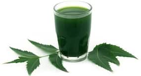 Neem-Giloy Juice for Diabetes Control : नीम के पत्तों के साथ पीसकर पीएं यह 1 चीज, डायबिटीज में मिलेगा चमत्कारी फायदा