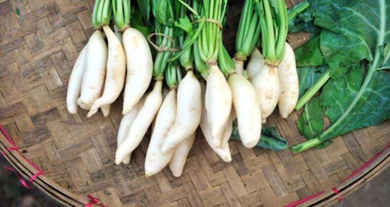 पोषक तत्वों और सेहत का खजाना हैं सर्दियों में मिलनेवाली ये 5 सब्ज़ियां