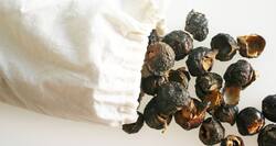 हेयर फॉल की समस्या से हैं परेशान तो करें रीठा या सोपफ्रूट का इस्तेमाल!