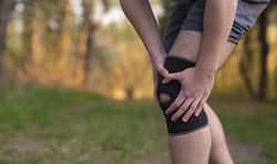 World Arthritis Day: 5 Ayurvedic herbs to treat arthritis naturally