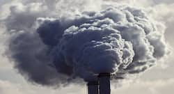 Delhi air pollution: Do's and don'ts to survive toxic air