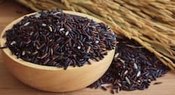 Why Ayurveda experts are encouraging diabetics to eat black rice?