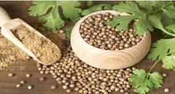 धनिये के बीज का अधिक इस्तेमाल, हो सकते हैं ये साइड एफेक्ट्स