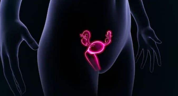 Pregnant Vagina