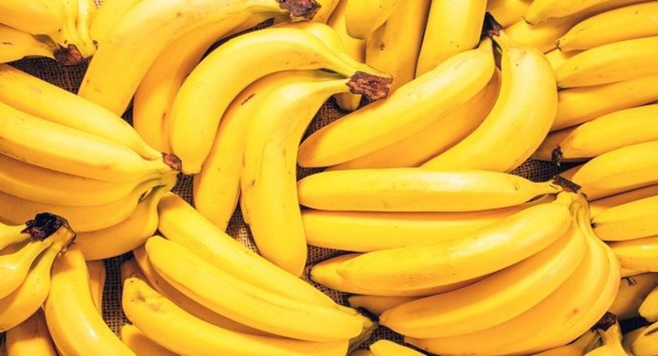 Top 5 foods that help you shed belly fat