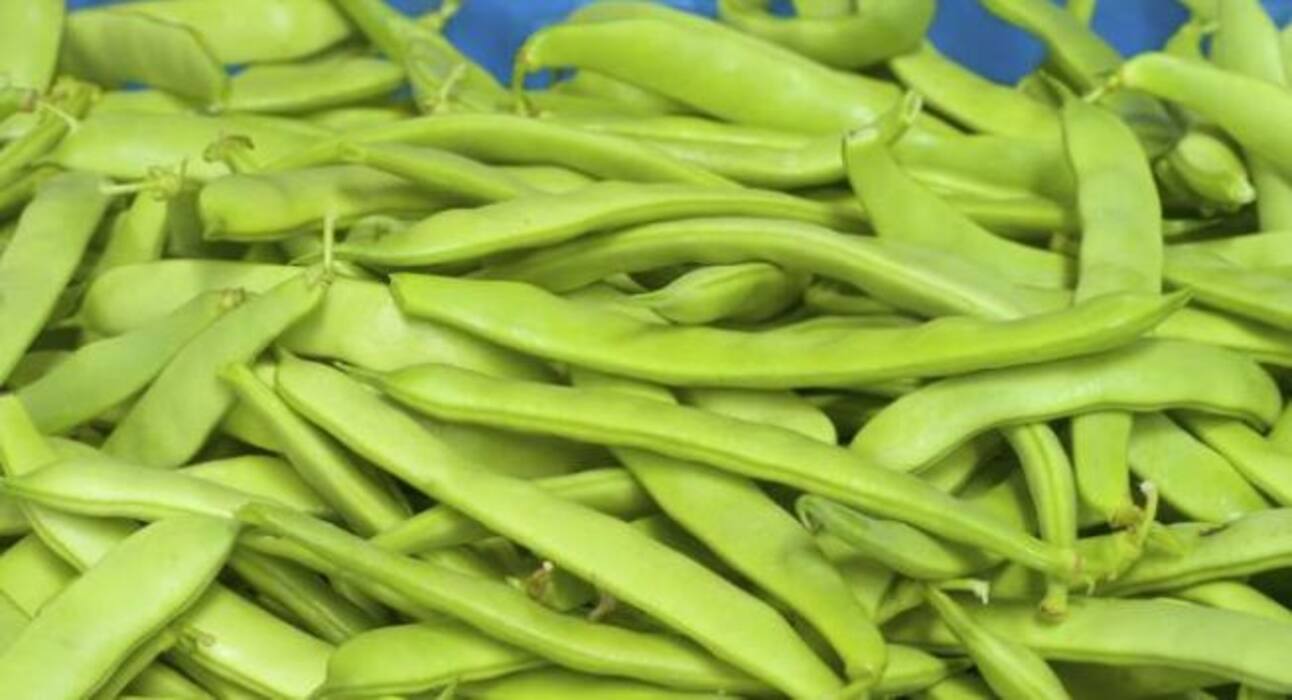 कैल्शियम के लिए शाकाहारी लोग ठंड के मौसम जरूर खाएं ये 5 सुपरफूड