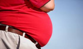 World Diabetes Day 2018: This is how belly fat is linked to diabetes