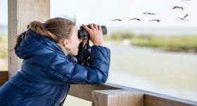 Incredible health benefits of bird watching Incredible health benefits of bird watching