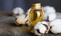 Health benefits of cottonseed oil