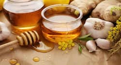 जादुई उपचार है लहसुन और शहद का मिश्रण, ऐसे करें तैयार