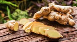 सर्दियों में खाएं अदरक, सेहत को होंगे कई लाभ