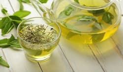 Weight loss + 9 other incredible benefits of green tea