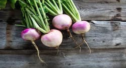 शलजम खाएंगे, तो सेहत को होंगे ये 5 लाभ