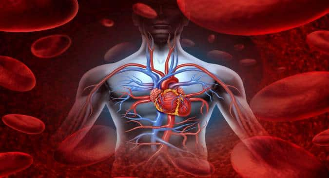 Coronary calcium level can predict coronary heart disease risk better ...