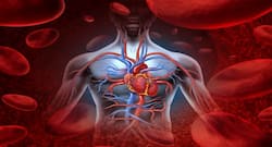 Coronary calcium level can predict coronary heart disease risk better, reveals study