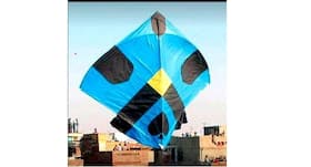 Incredible health benefits of kite flying