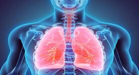 All you need to know about the side effects of drugs on lungs All you need to know about the side effects of drugs on lungs