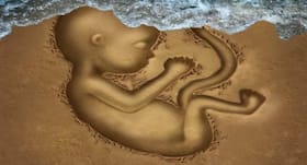 Miscarriage might be linked to heart disease risk, claims study