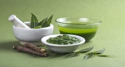 World Diabetes Day 2018: Neem can help manage blood sugar levels