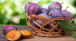 कब्‍ज से हैं परेशान, तो आलूबुखारा करें डायट में शामिल