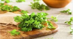 किडनी से स्टोन निकालने के काम आएगी पार्सले, यूं करें इस्तेमाल