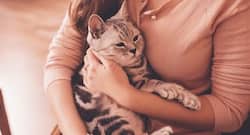 Asian longhorned tick spreading in US, says reports