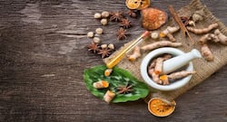 अब नहीं होगी आयुर्वेद की चोरी, फार्माकोपिया की शुरुआत