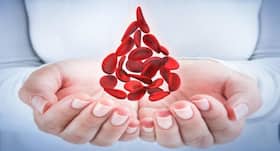 World Blood Donor Day 2022: All You Need to Know About The Plasma Donation