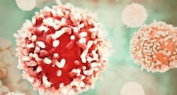 Cancer institute in Jhajjar will operate from january, says J.P. Nadda