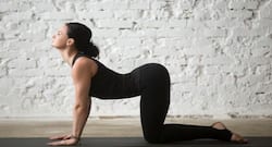 5 yoga poses to improve digestion