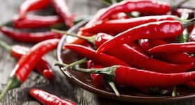 Here are some pros and cons of eating chilli Here are some pros and cons of eating chilli