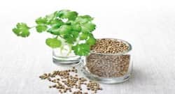 The fight against diabetes can start from your kitchen too