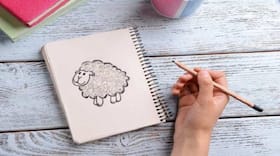 Drawing helps retain memory better than writing: Study