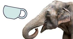 Strange disease kills 8 elephants in Tanzania: Authorities confirmed Strange disease kills 8 elephants in Tanzania: Authorities confirmed