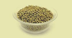 6 amazing health benefits of green gram