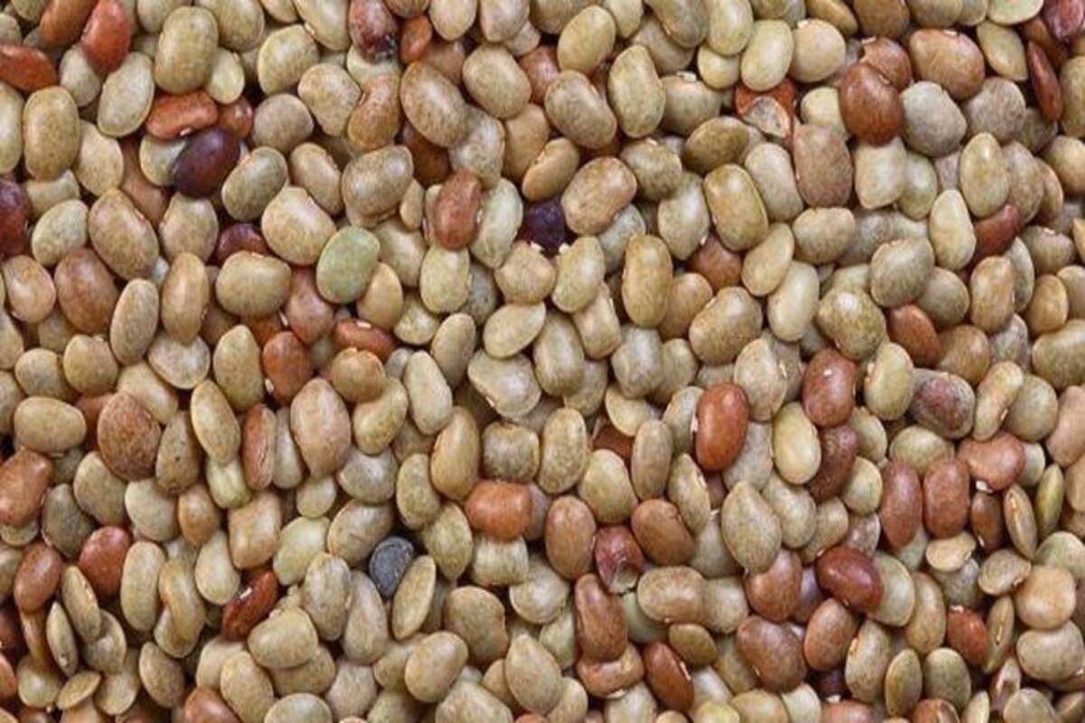 6 amazing health benefits of horse gram | TheHealthSite.com