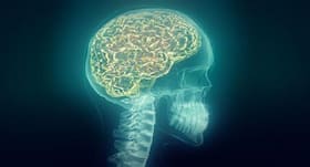 Study says human brain responds to aggressive voices more quickly