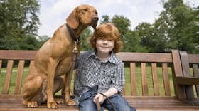 Exposure to pets during infancy reduce allergies later in life, finds study