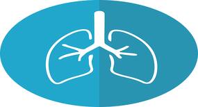How To Clean Lungs: Try Lung Detoxification Methods By Pulmonologist