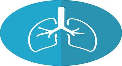 How To Clean Lungs: Try Lung Detoxification Methods By Pulmonologist ...