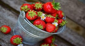 7 incredible reasons to eat strawberries