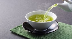 Want to tackle obesity, inflammation? Sip on green tea