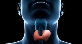 Thyromegaly: Everything you need to know about this condition