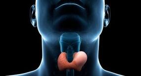 Thyromegaly: Everything you need to know about this condition