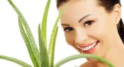 घर में लगा है एलोवेरा का पौधा, तो आचार्य बालकृष्‍ण से जानें कि कैसे करना है उसका इस्‍तेमाल